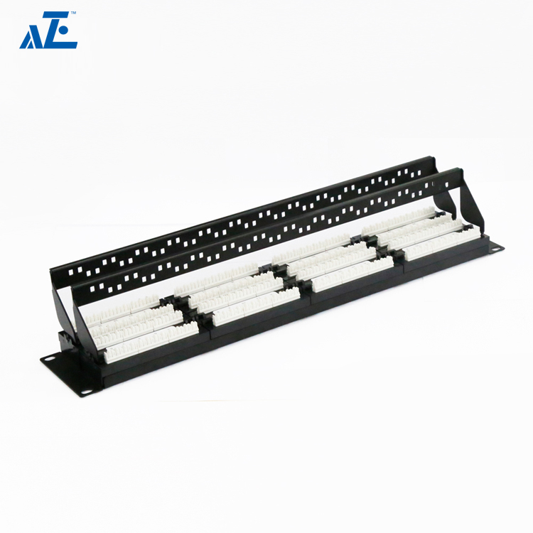 2U 48-Port CAT5e UTP Unshielded Patch Panel