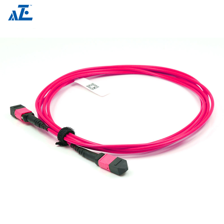 MTP Female 12 Fibers Type B Plenum (OFNP) OM4 (OM3) 50/125 Multimode Elite Trunk Cable