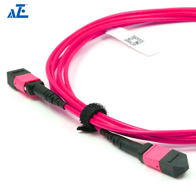 MTP Female 12 Fibers Type B Plenum (OFNP) OM4 (OM3) 50/125 Multimode Elite Trunk Cable